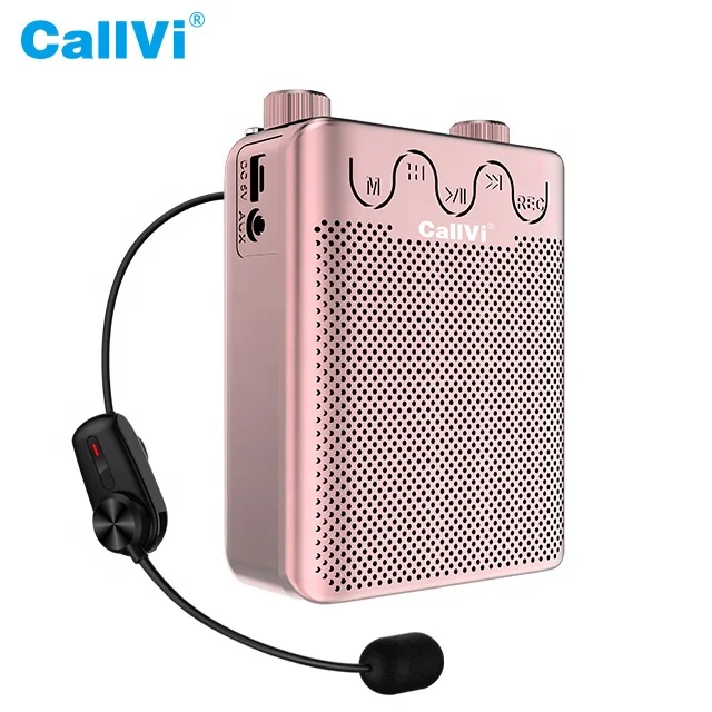 CallVi V-807 Rechargeable Mini Audio Speaker Amplifier with Wireless Microphone and FM Radio