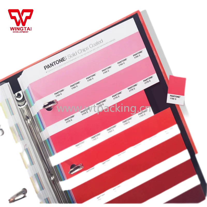 New Edition 2023 Pantone Gp1606b,Six 3cm X 2cm Colour Tickets For Each