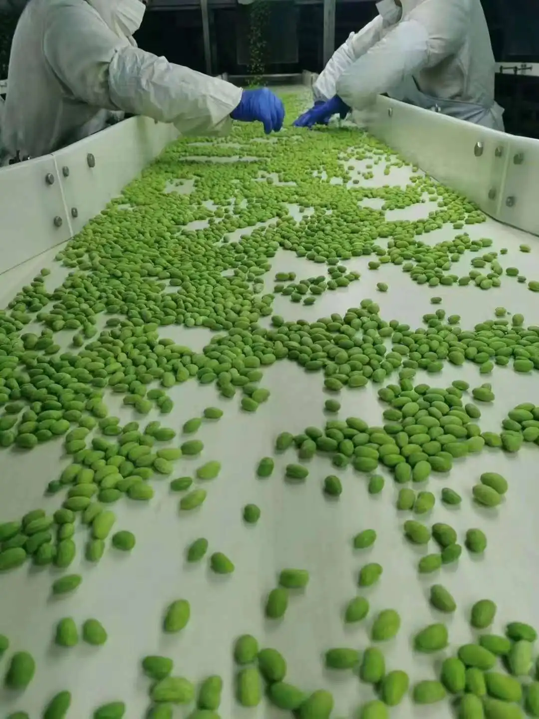 China Supplier High Quality Bulk IQF Frozen Green Edamame Soybean