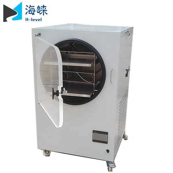 Small Size Home Food Mini Vacuum Freeze Dryer Machine Lyophilizer for Fruit and Vegetable
