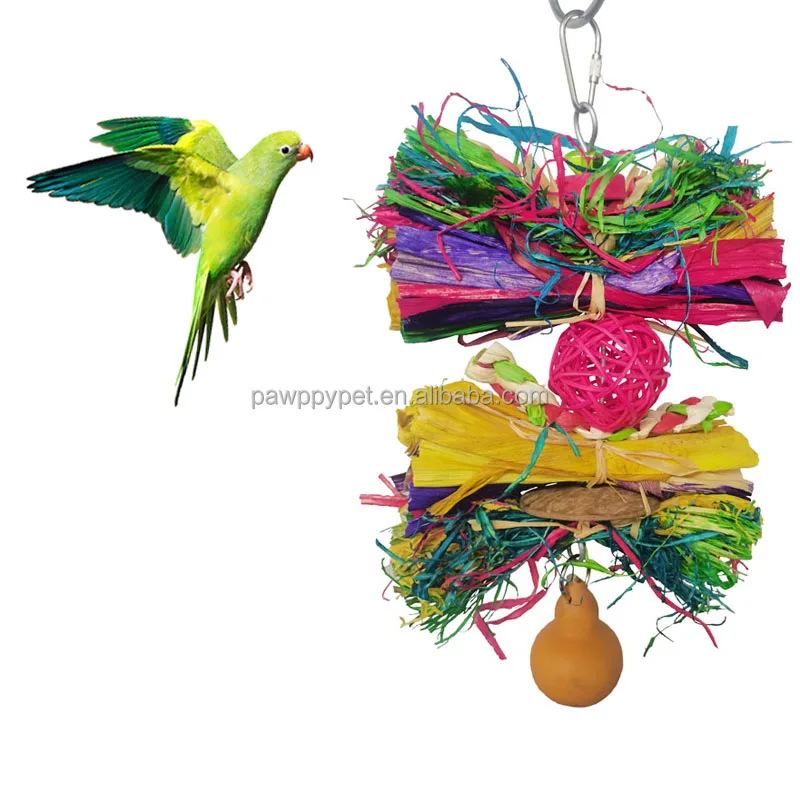 parrot toy supplies