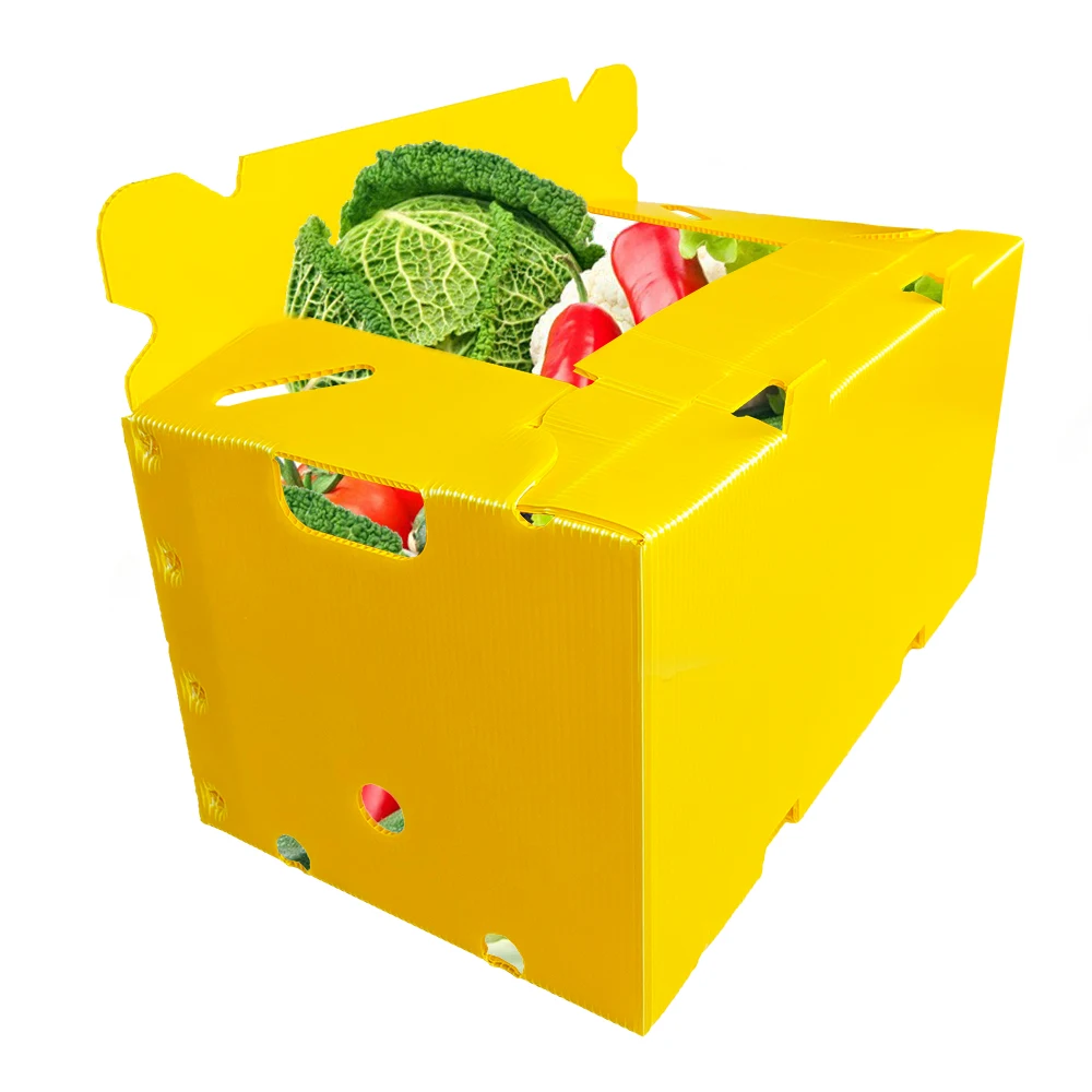 Custom Recyclable Corrugated Cardboard Packaging Box for Fruits & Vegetables Hollow Sheet Orange Fruit Vegetable Gift Packaging
