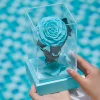 Nuevas rosas del diseño en acrílico