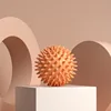 Hedgehog ball orange-opp pack