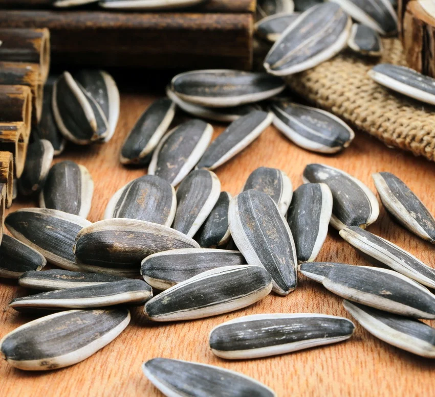 Семена экспорт