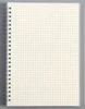 Pagina interna con griglia bianca