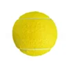 Canary Yellow