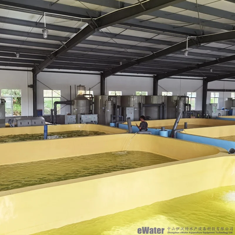 Circular Fish Farm with Tanks for Commercial Aquaculture