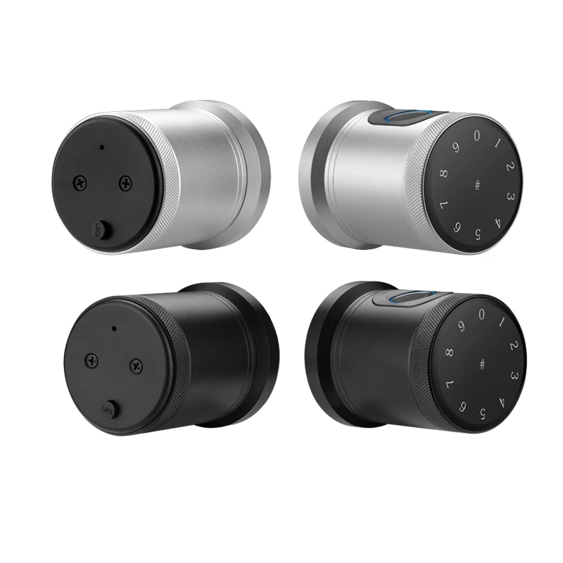 Ttlock App Biometrics Automatic Smart Cerradura Inteligente Puerta Exterior De Seguridad Fingerprint Keyless Room Door Lock