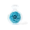 Botella redonda individual azul pavo real