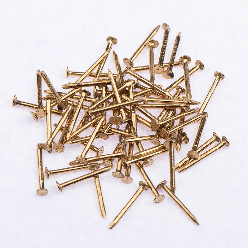 Common Nails Small Flat Round Head Brass Nail 0.9*10mm Mini Brass Nail ...