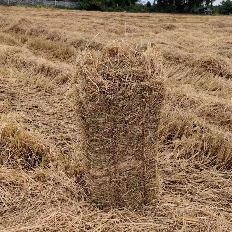 Tractor Mounted PTO Mini Baler Square Pine Straw Baler Square Hay Baler Machine for Sale