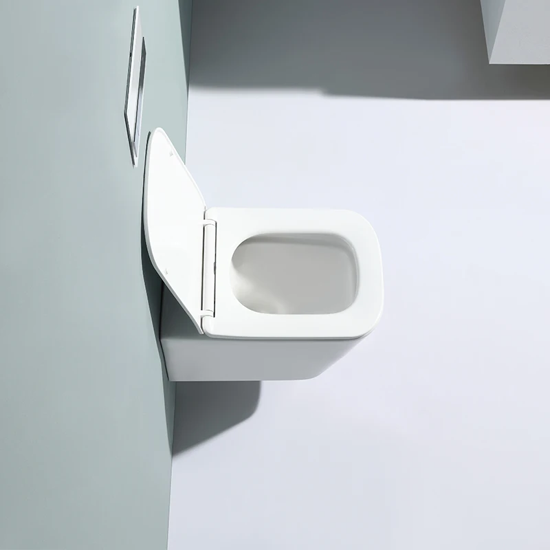 	Energy-saving ceramic wall-hung toilet
