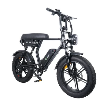 V20 PRO ファットバイク C11 電動自転車 V20 ファットタイヤ Eバイク