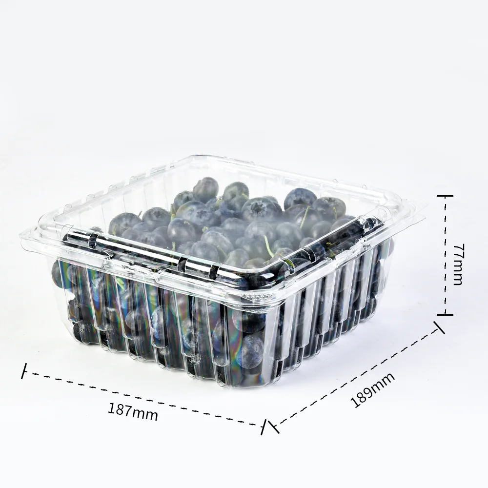 Factory 2LB Blueberry Packaging Recycled Plastic Fruit Packaging clear Box Fruit Berry Blueberry Clamshell Container with Holes