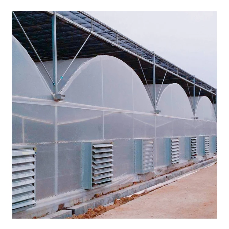 Agricultural Plastic Film Garden Tomato Greenhouse Turnkey Project With Quick Construction