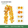 Otoño No.13