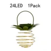 24LED