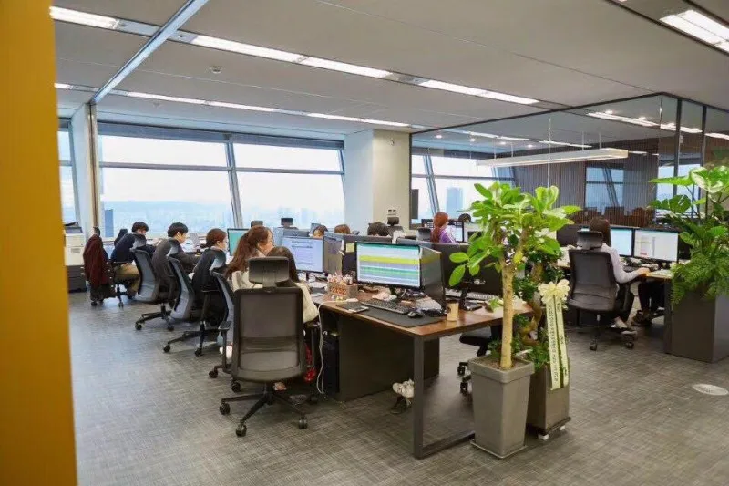 Chongqing Cuibo Technology Co., Ltd. 1