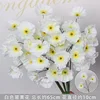 White three-headed poppy branch