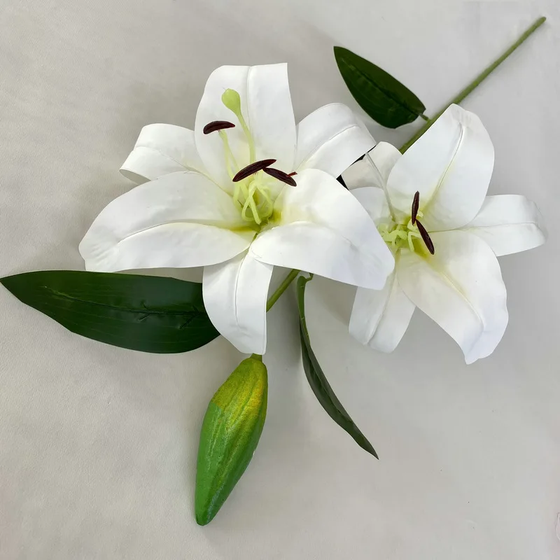 clematis im blumenkasten Pflanzkasten mit Rankgitter aus schwarz lackiertem Stahl 80 × 40 × 40 cm main image 0