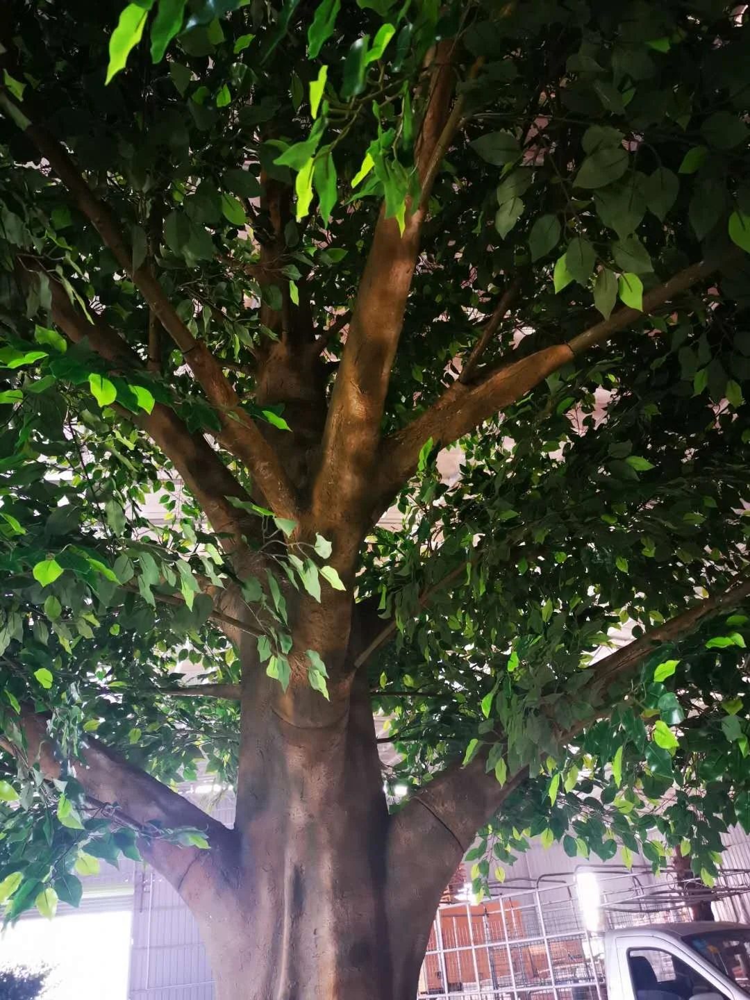 Wholesale White Ficus Leaf Tree Artificial Plants of Leaves Fake Ficus Microcarpa Custom Ficus Microcarpa Bonsai Trees