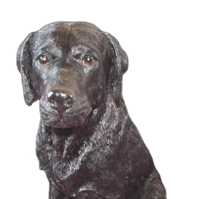 labrador items