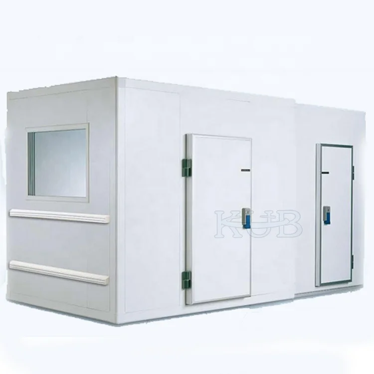 Minus 18 Degrees Centigrade 13 Cubic Meters Frozen Cold Room for Meat and Fish Storage