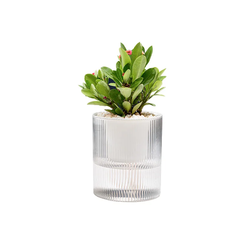 BRICE 4 Inch China Bulk Flower Pots - Self Watering Planter