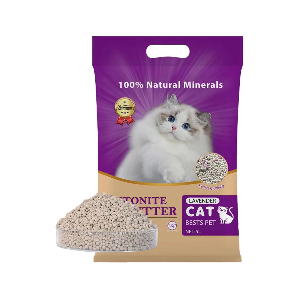Where's The Cheapest Place To Buy Cat Litter at Kathy Hall blog