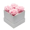 Rosa-4 rosas