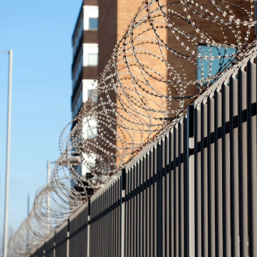 High Quality Concertina Wire Bto 65 Hot Dipped Galvanized Razor Barbed ...