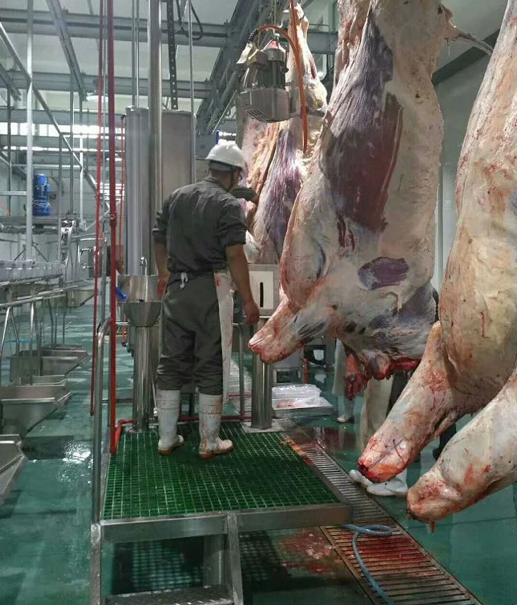 Turnkey Halal Kosher Veal Cattle Slaughter Line Complete Cow Slaughterhouse Equipment