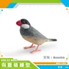 PL127-2891 Weniao 19g