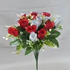 Red+white
