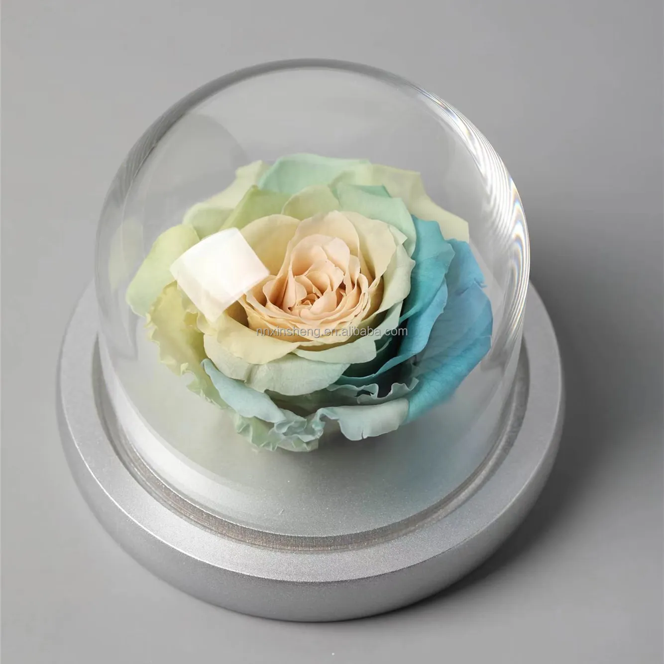 Mother's Day Gift Box Love Gift Carnation Preserved Flower Glass