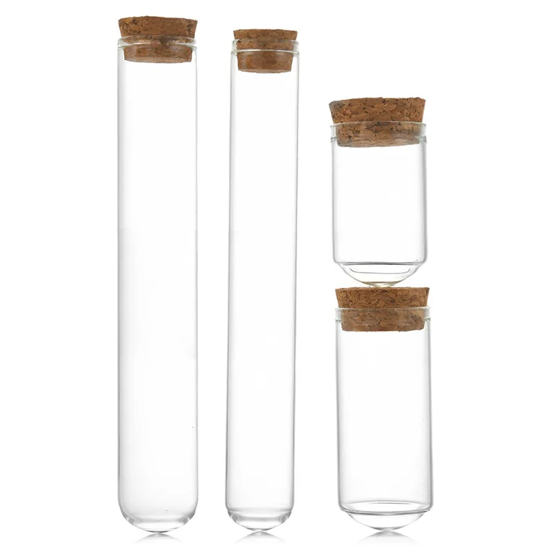 Decorative Small Mini Transparent Display Glass Cloche Dome with Cork Base