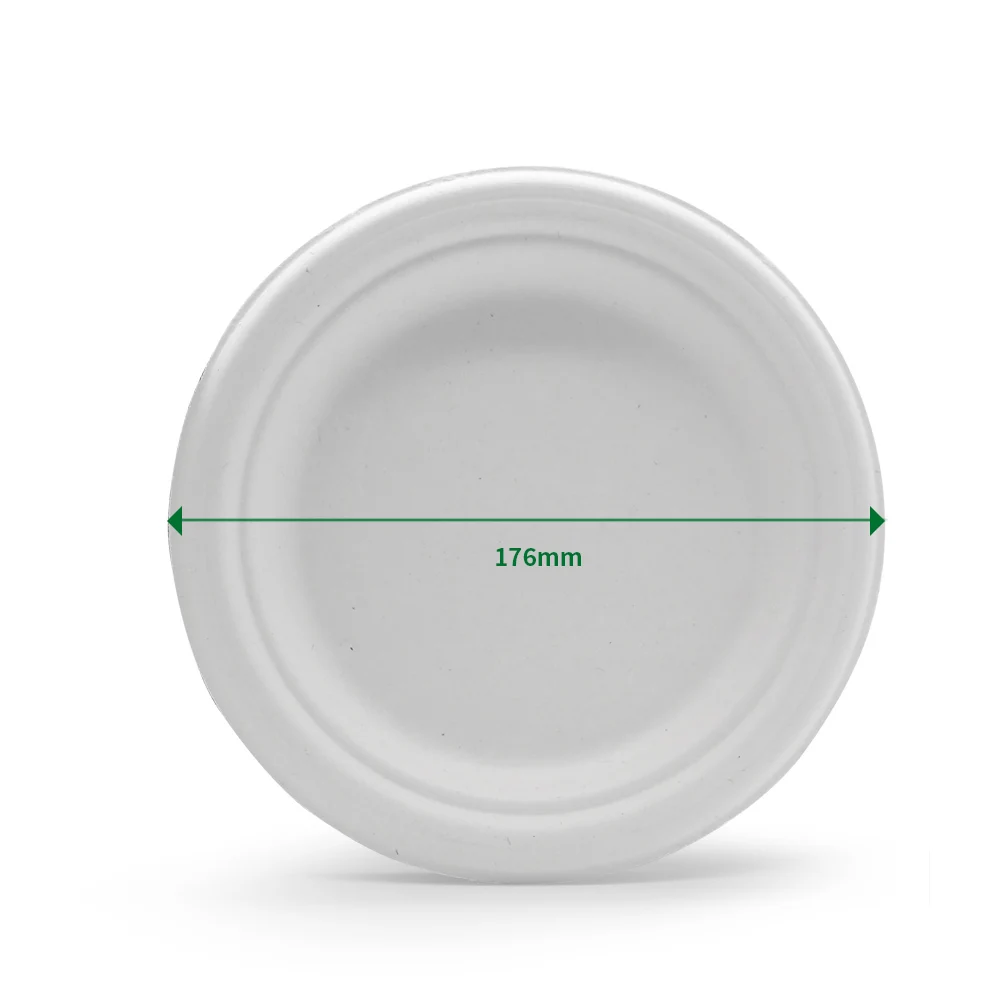 Oasis Eco-Friendly Disposable Dinner Plate One-Time Use Bagasse Food Container Waterproof for Camping