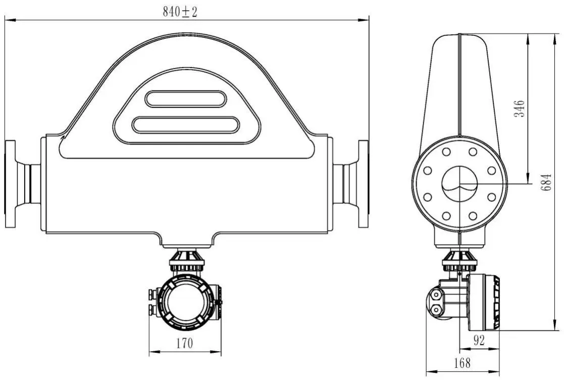 RKS RF3001 Sanitary Coriolis Mass Flow Meter Subarcuated Sensor Palm ...