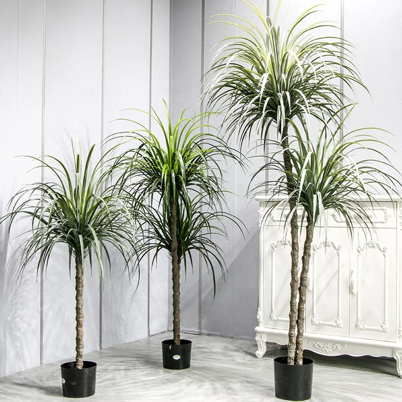 zimmerpflanze grüne runde blätter Pilea Ufopflanze kaufen – Green Me Up