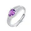 JH0272-1Amethyst