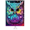 Multicolor-A03