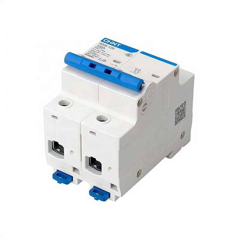 CHINT Double Pole 125A MCB Main Switch DP 125A CHINT MCB Circuit Breaker NXB 2P 100A MCB 10kA CHINT Miniature Circuit Breaker