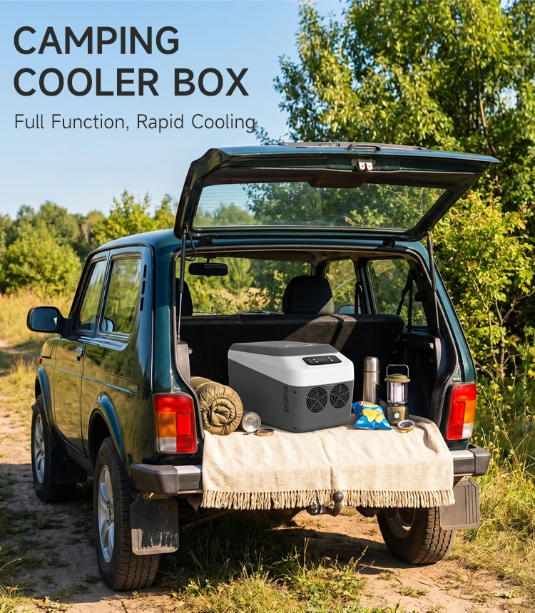 Hot Sale 24L 30L High Quality  Portable Compressor Small Car Refrigerator Travel Electric 12v Cooler Box Mini Fridge Car
