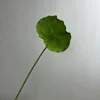 Green small size