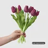 Viola intenso