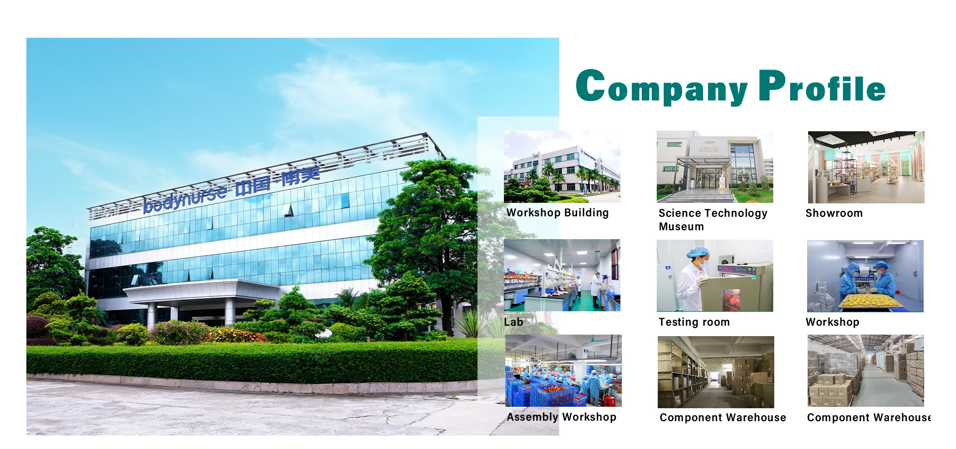 company profile company profile