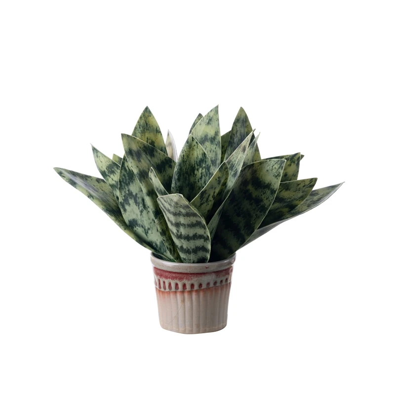 CL20004 Mini Snake Plant Faux Sansevieria Plant for Home Office Room Indoor  Decor Housewarming Gifts Artificial Flower