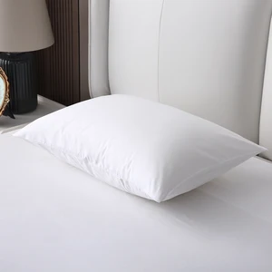 China Factory Price Hotel & Home Use Luxury Pillow Protector with Anti-Bacterial Polyester