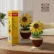 K335-Sunflower